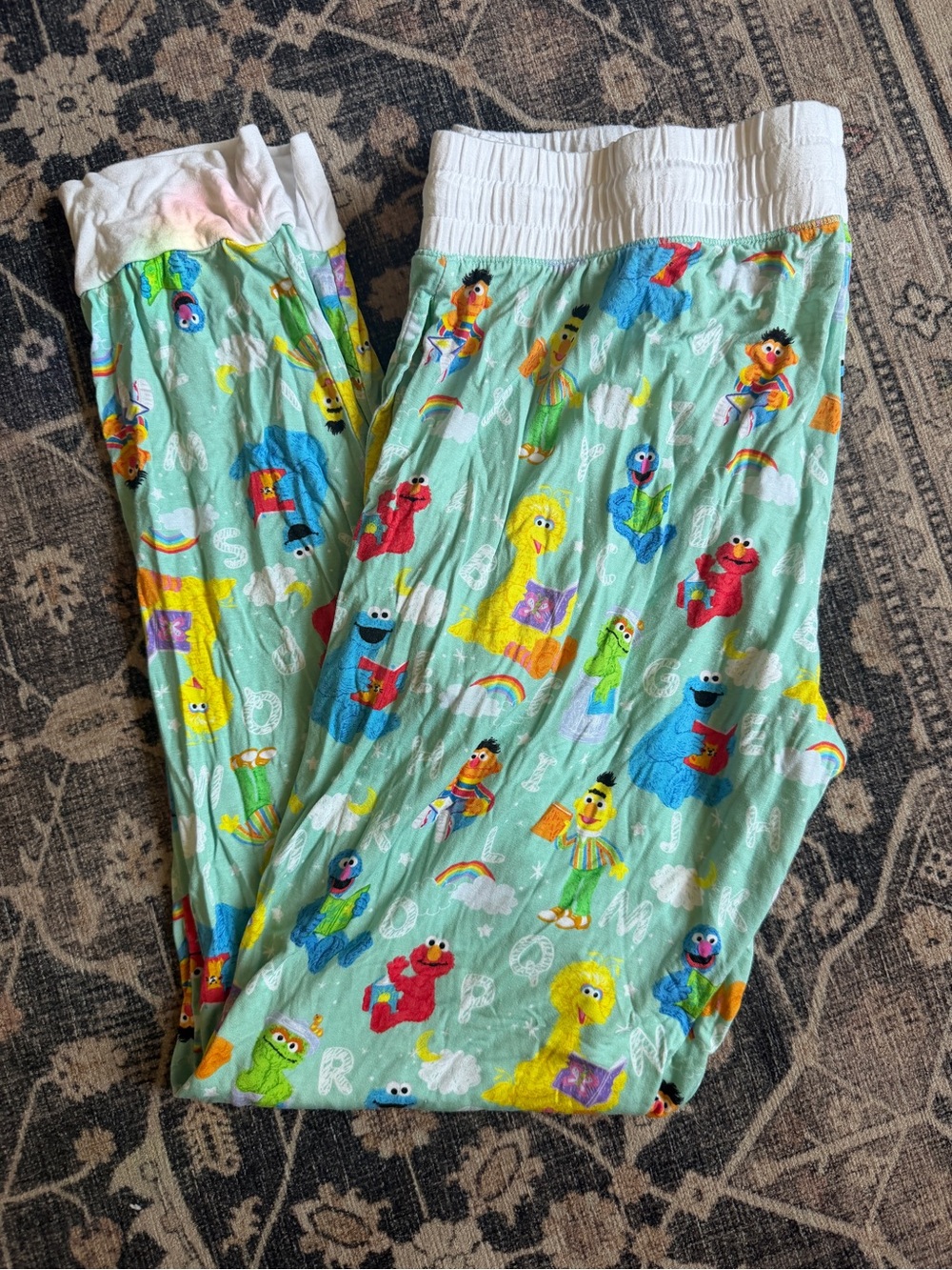 Sesame Street Mint Green women’s Pajama Pants
